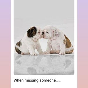 Meet your Posher, Janice